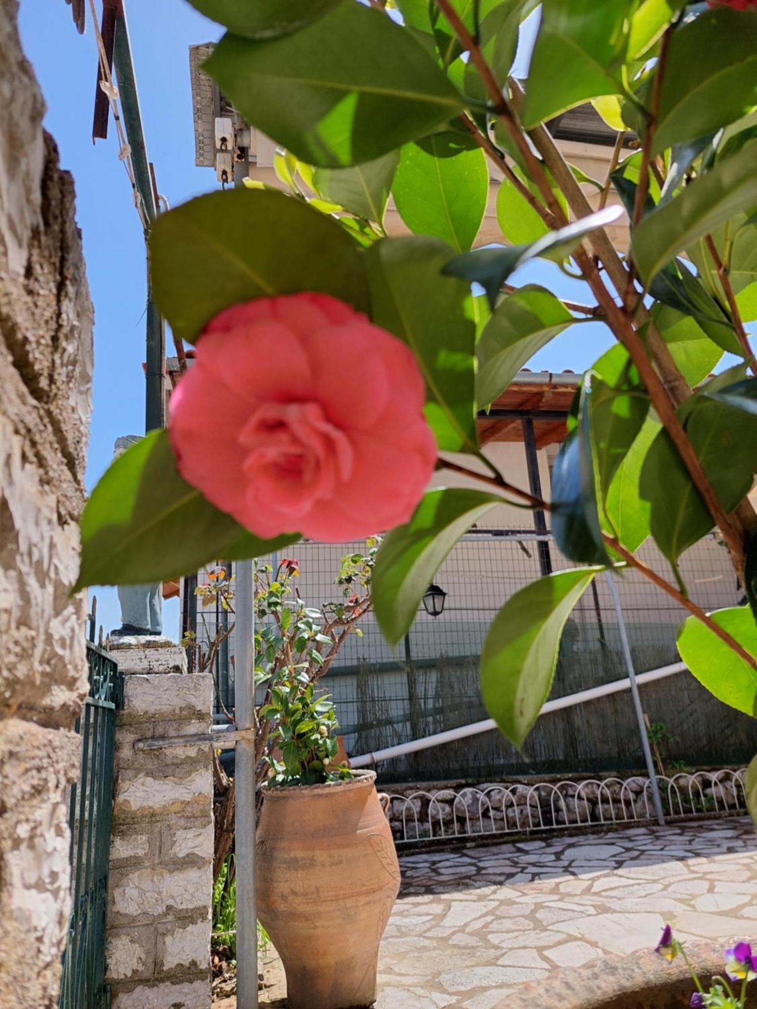 Αρτέμιδα Plus Karpenisi Apartment Exterior foto